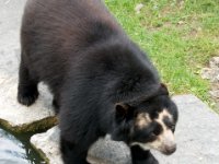 20080531 Kurztrip Stuttgart 0141  Wilhelma Stuttgart : Tag, Tiere