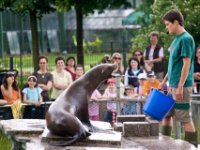 20080531 Kurztrip Stuttgart 0191  Wilhelma Stuttgart : Tag, Tiere