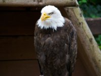 20080624 Vogelpark 102