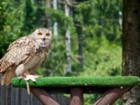 20080624 Vogelpark 111  Der aus der Tube!?!?