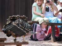 20080624 Vogelpark 143