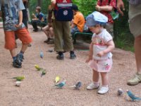 20080624 Vogelpark 56  Franziska füttert Wellensittiche!