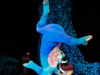 20080905 Europa Park 190 : Ferien, Urlaub