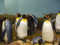 20151103 Basler Zoo 04901