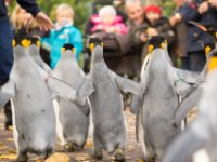 20151103 Basler Zoo 04918