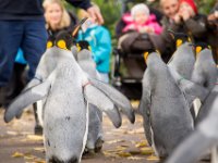 20151103 Basler Zoo 04919