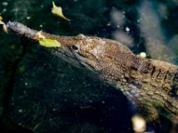 20151103 Basler Zoo 04942