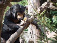 20151103 Basler Zoo 04946