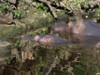 20151103 Basler Zoo 04953