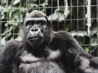 20151103 Basler Zoo 04982