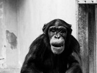 20151103 Basler Zoo 04996