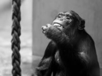 20151103 Basler Zoo 05005