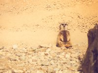 20151103 Basler Zoo 05042