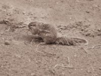 20151103 Basler Zoo 05055