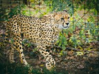 20151103 Basler Zoo 05067