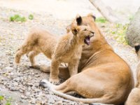 20151103 Basler Zoo 05081