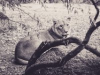 20151103 Basler Zoo 05094