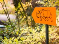 20151103 Basler Zoo 05113