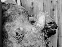 20151103 Basler Zoo 05125