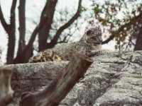 20151103 Basler Zoo 05135