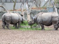 20151103 Basler Zoo 05137