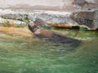 20151103 Basler Zoo 05144