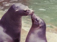 20151103 Basler Zoo 05148