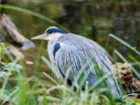 20151103 Basler Zoo 05212