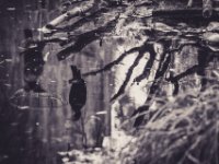 20151103 Basler Zoo 05215