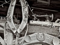 20140527 Schopfheim 0018 : MVS-Fotogroup