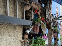 20140527 Schopfheim 0020 : MVS-Fotogroup