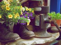 20140527 Schopfheim 0022 : MVS-Fotogroup