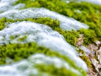 20150125 Winterspaziergang 0002