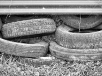 20150125 Winterspaziergang 0012