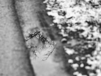 20150125 Winterspaziergang 0013