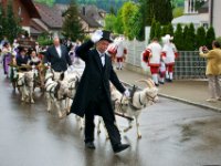 20100509 Hebelfest 250 Jahre 0031 : FestivitaÌten, Umzug