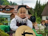 20100509 Hebelfest 250 Jahre 0071 : FestivitaÌten, Umzug