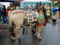 20100509 Hebelfest 250 Jahre 0104 : FestivitaÌten, Umzug