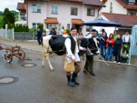 20100509 Hebelfest 250 Jahre 0133 : FestivitaÌten, Umzug