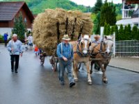 20100509 Hebelfest 250 Jahre 0147 : FestivitaÌten, Umzug