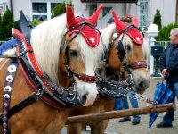 20100509 Hebelfest 250 Jahre 0185 : FestivitaÌten, Umzug