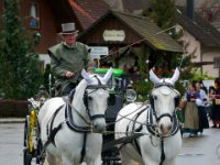 20100509 Hebelfest 250 Jahre 0229 : FestivitaÌten, Umzug