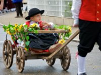 20100509 Hebelfest 250 Jahre 0242 : FestivitaÌten, Umzug