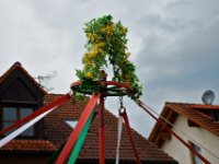 20100509 Hebelfest 250 Jahre 0248 : FestivitaÌten, Umzug