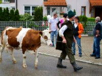 20100509 Hebelfest 250 Jahre 0282 : FestivitaÌten, Umzug