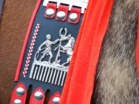 20100509 Hebelfest 250 Jahre 0430 : FestivitaÌten, Umzug