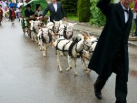 20100510 Hebelfest 0028 : FestivitaÌten, Umzug