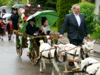 20100510 Hebelfest 0030 : FestivitaÌten, Umzug