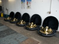 20090703 Musikstunde 0048