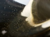 20090703 Musikstunde 0073